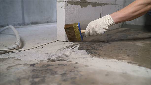 SJ Waterproofing Pros Exterior Waterproofing coverage map for Netcong, NJ and surrounding area